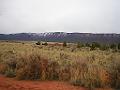 Moab 09 063